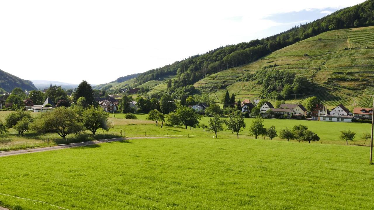 Appartamento Tobererhof Glottertal Esterno foto