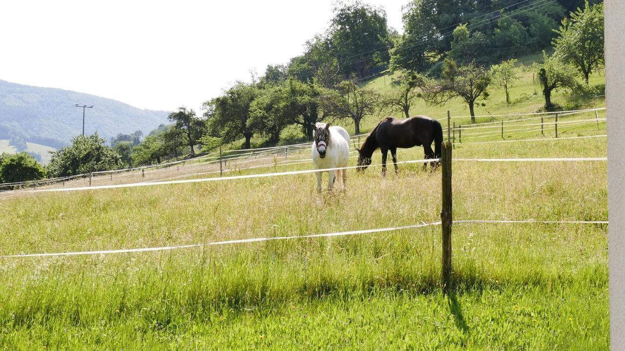 Appartamento Tobererhof Glottertal Esterno foto